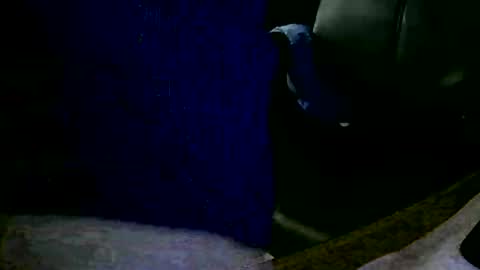 Snapshot of coyote017 chatting on January 2025 11:13:02 AM coyote017 online show from January 2025 11:13:02 AM