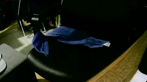 Snapshot of coyote017 chatting on February 2025 04:18:01 PM coyote017 online show from February 2025 04:18:01 PM