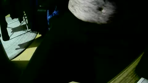 Snapshot of coyote017 chatting on October 2025 06:18:02 PM coyote017 online show from October 2025 06:18:02 PM