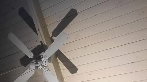 cpdobbs38 online show from January 2026 12:21:02 PM