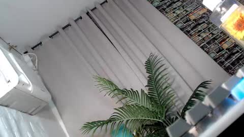 Delilah online show from September 2025 08:05:01 AM