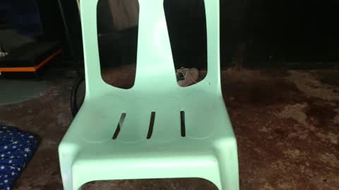 Jay online show from February 2025 01:33:01 PM