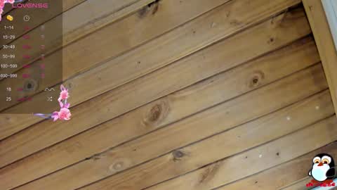 Cristal online show from February 2026 04:05:02 AM