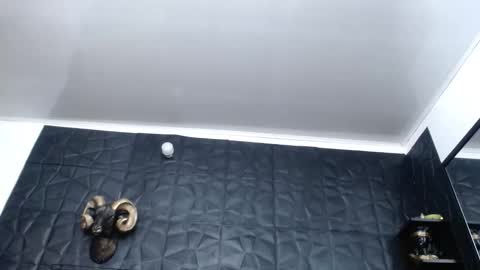 Hanna  online show from November 2025 04:38:01 AM