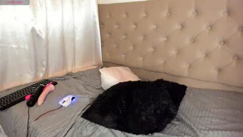 soycriss online show from January 2025 11:14:01 PM