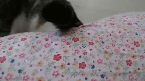 Snapshot of cristiyna36 chatting on March 2026 12:11:01 PM cristiyna36 online show from March 2026 12:11:01 PM