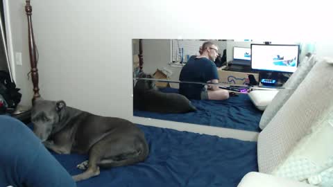 Crownandkat online show from March 2026 02:15:01 AM