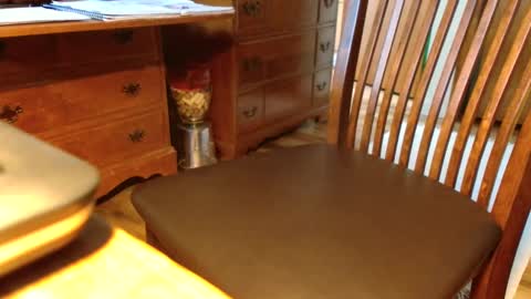 Crushit online show from September 2025 10:09:01 PM