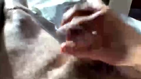 Crushit online show from January 2026 05:04:02 PM