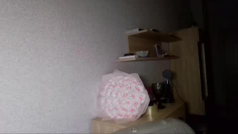 Snapshot of crystallkris chatting on December 2024 12:28:01 AM Kristina online show from December 2024 12:28:01 AM