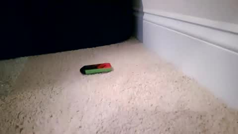 ctcboyy online show from November 2025 03:27:01 AM