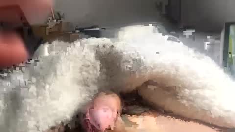 cumonmyf33t online show from February 2025 12:19:01 PM