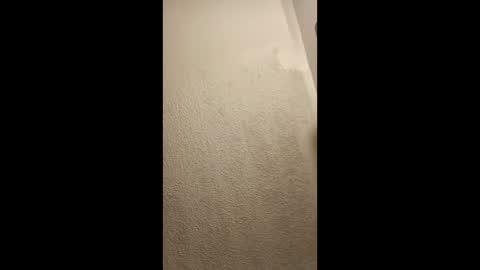 cumplay79 online show from January 2026 05:11:02 AM