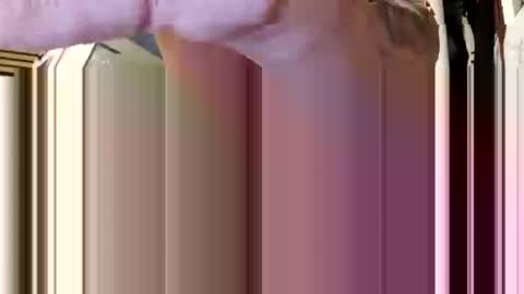 Aprilia online show from February 2026 08:41:01 AM