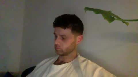 curiousnesssssss online show from January 2026 08:00:02 PM