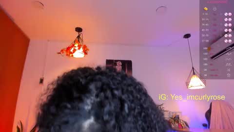 Rose online show from November 2025 10:52:01 PM