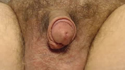 curve66 online show from February 2025 04:25:01 PM