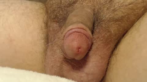 curve66 online show from October 2025 12:55:02 AM