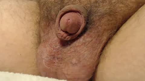 curve66 online show from November 2025 11:10:01 PM