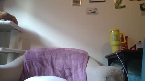 Snapshot of curvycate127 chatting on January 2025 09:25:02 PM Cate online show from January 2025 09:25:02 PM