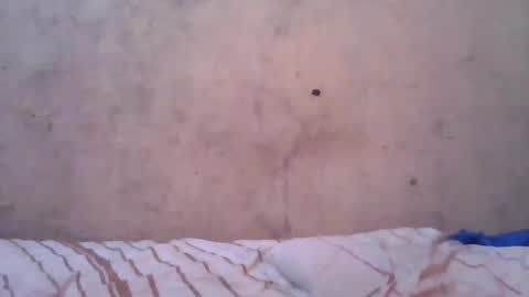 Snapshot of cute_divah4 chatting on June 2026 04:22:02 AM cute_divah4 online show from June 2026 04:22:02 AM