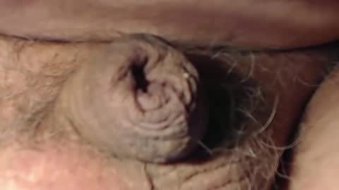 Snapshot of cute_stud1010 chatting on February 2026 03:10:01 PM cute_stud1010 online show from February 2026 03:10:01 PM