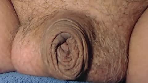 cute_stud2855 online show from February 2026 04:32:01 PM