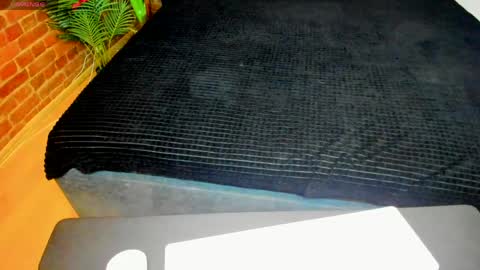 Tory online show from April 2026 08:31:02 PM