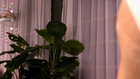 Snapshot of cynthiawest chatting on July 2026 03:35:02 AM Ivy online show from July 2026 03:35:02 AM