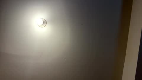 daboss41126 online show from March 2026 01:42:01 AM