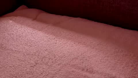 Snapshot of dad_next_door chatting on February 2025 09:58:02 PM Richard online show from February 2025 09:58:02 PM