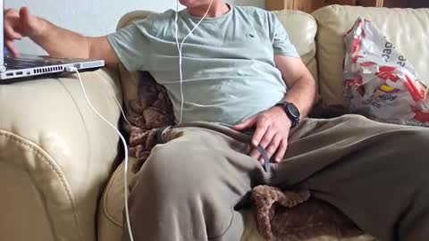 daddy33383 online show from October 2025 11:41:02 AM