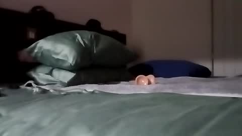 Kasey Xdresser online show from February 2026 04:54:02 PM