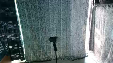 bas online show from July 2026 02:03:02 PM