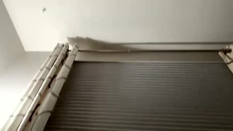 daddyweis online show from September 2025 02:23:01 AM