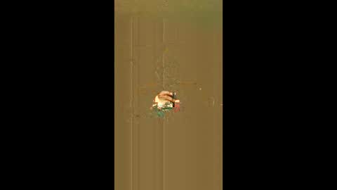 dadsfreedickrides online show from February 2026 03:32:01 PM