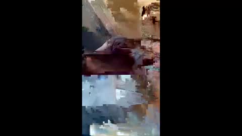 dadsfreedickrides online show from June 2026 09:15:02 AM