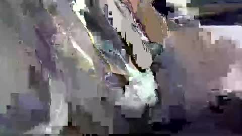 Snapshot of dadyschlong chatting on March 2026 12:00:02 PM GIANT Lamar 72 ft tall with a 10 inches BBC hard quick cumshot in private show lets go online show from March 2026 12:00:02 PM