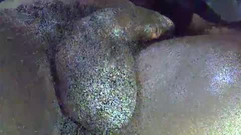 Snapshot of dadyschlong chatting on April 2026 11:44:02 AM GIANT Lamar 72 ft tall with a 10 inches BBC hard quick cumshot in private show lets go online show from April 2026 11:44:02 AM