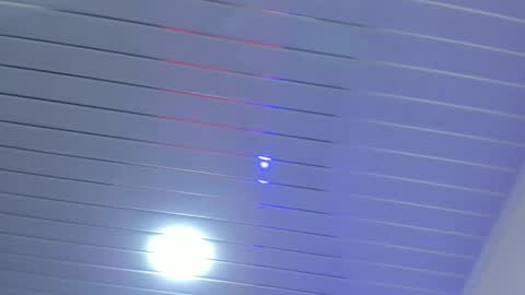 Daisy online show from November 2025 01:12:02 PM