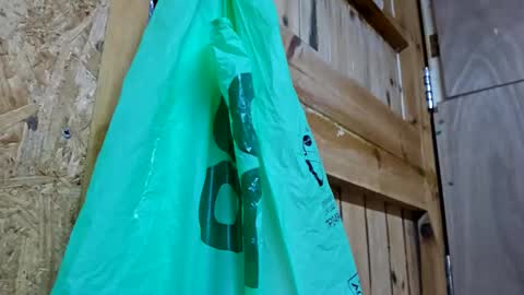 dave online show from December 2024 10:04:02 PM