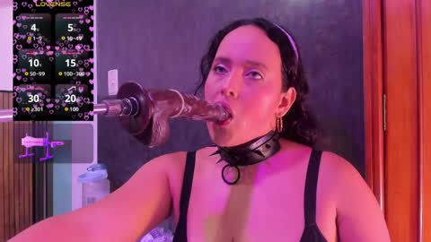 Snapshot of dalia_roses chatting on May 2026 09:09:01 PM Dalia online show from May 2026 09:09:01 PM