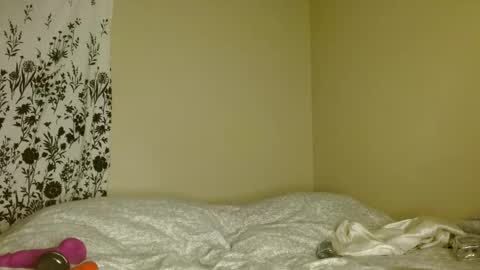 Nova online show from April 2026 07:41:01 AM