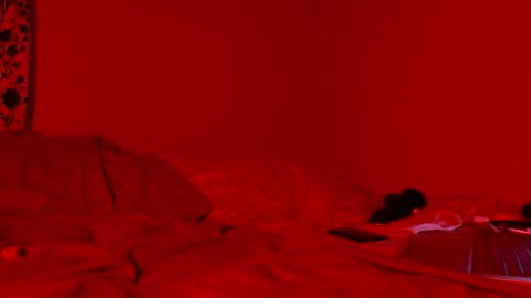 Nova online show from April 2026 08:18:02 AM