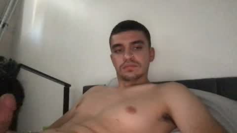 damoroz online show from August 2026 05:37:01 PM