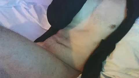 dan567y online show from February 2025 05:59:02 AM