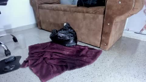 Danaa Rey online show from February 2025 02:26:02 PM