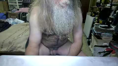 Dana online show from March 2026 04:33:01 PM