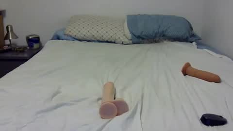 Andy online show from December 2024 05:04:02 AM