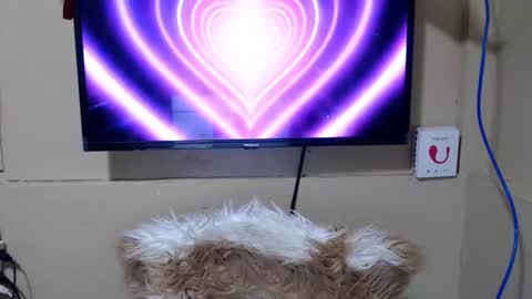 Snapshot of danica_wild chatting on May 2026 11:34:04 PM Danica online show from May 2026 11:34:04 PM